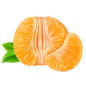 Preview: Mor·gen Gruß | süße Mandarine Bergamotte | Früchtetee